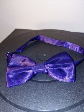 & Other Stories Men Shiny Purple Silk Bow Tie
